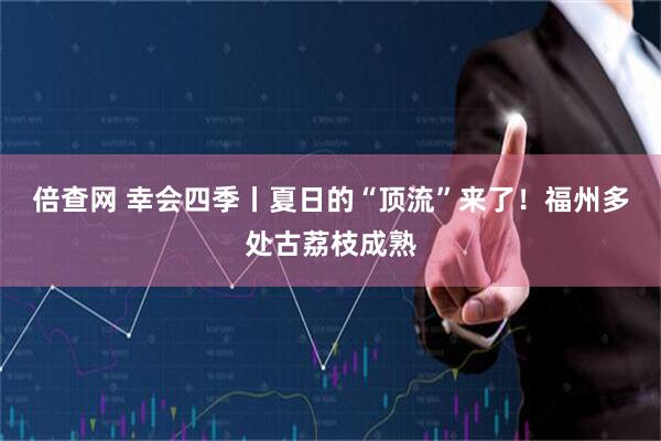倍查网 幸会四季丨夏日的“顶流”来了！福州多处古荔枝成熟