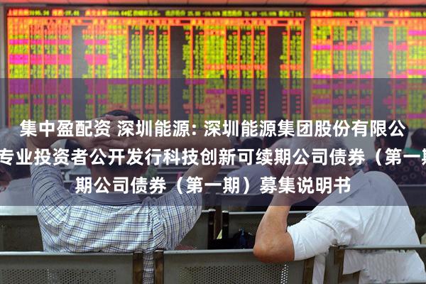 集中盈配资 深圳能源: 深圳能源集团股份有限公司2025年面向专业投资者公开发行科技创新可续期公司债券（第一期）募集说明书