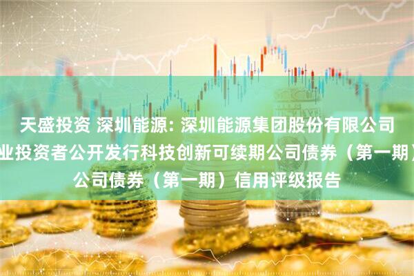 天盛投资 深圳能源: 深圳能源集团股份有限公司2025年面向专业投资者公开发行科技创新可续期公司债券（第一期）信用评级报告